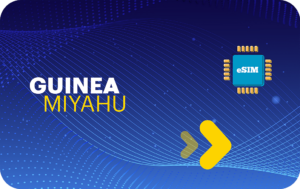 Guinee 1 GB - 7 Dagen